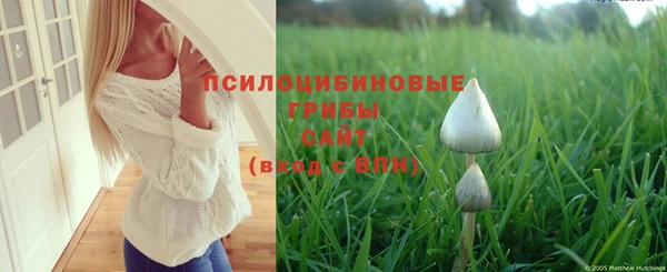 ALPHA PVP Покровск