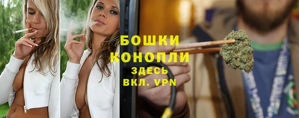 ГАЛЛЮЦИНОГЕННЫЕ ГРИБЫ Покров