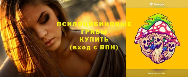 ГАЛЛЮЦИНОГЕННЫЕ ГРИБЫ Покров